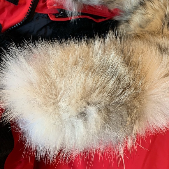 Canada Goose Resolute Parka - Picture 7 of 8